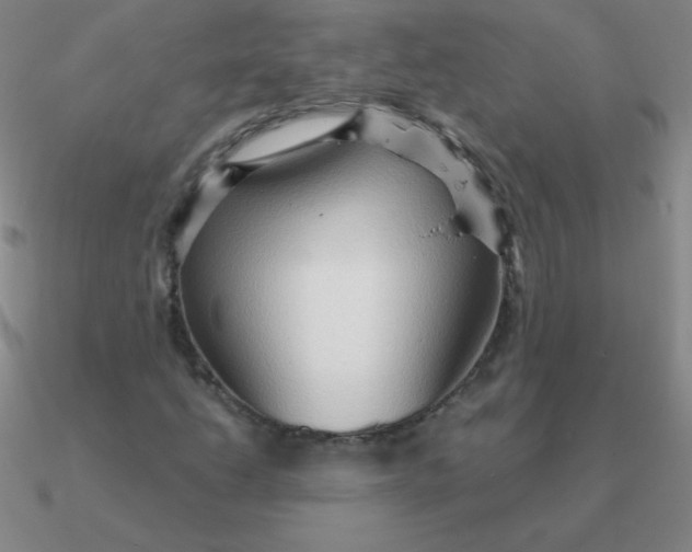 X0000090621206200708071217