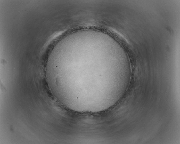 X0000090621207200708071217