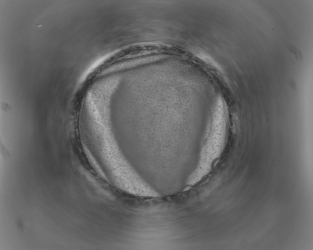 X0000090621208200708071217