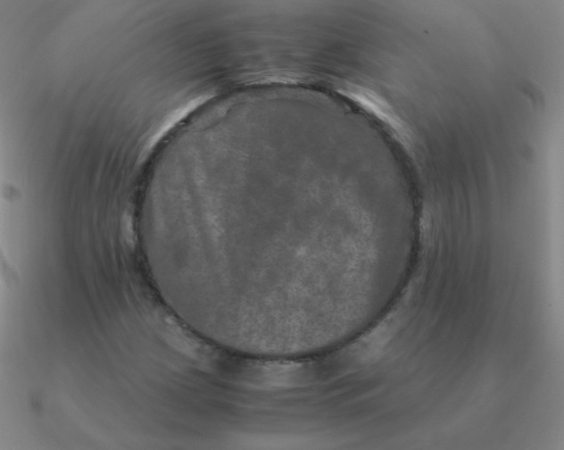 X0000090621209200708071217