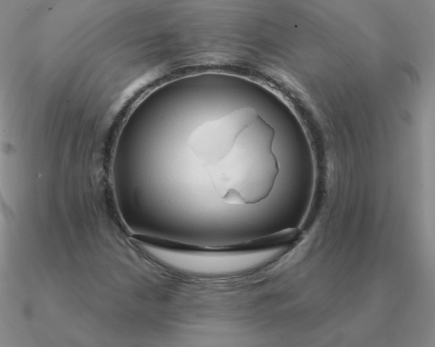 X0000090621210200708071217