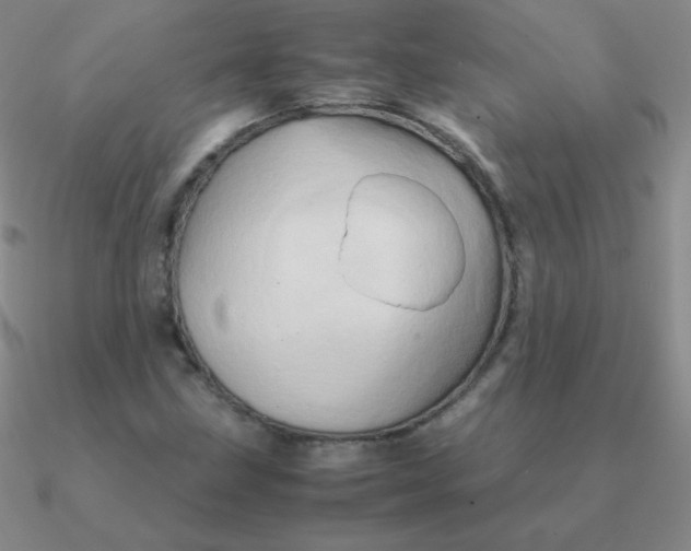 X0000090621211200708071217