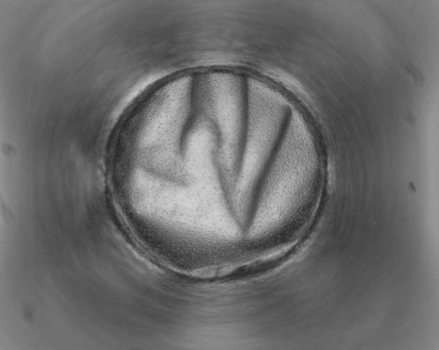 X0000090621212200708071217