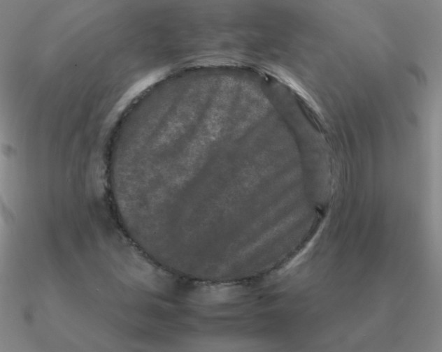 X0000090621213200708071217