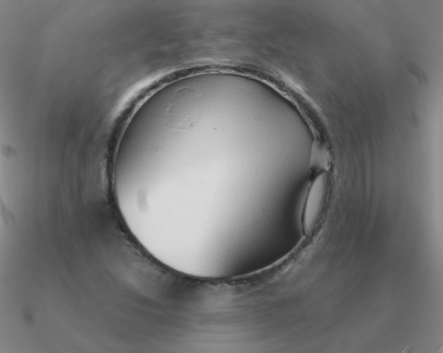 X0000090621214200708071217