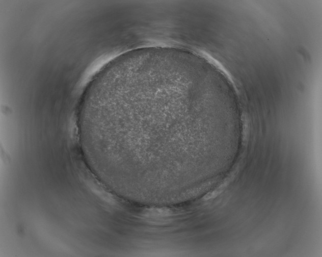 X0000090621215200708071217