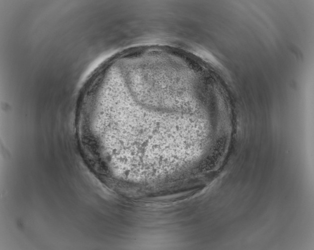 X0000090621216200708071217