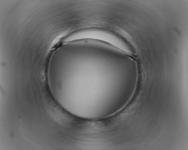 X0000090621218200708071217