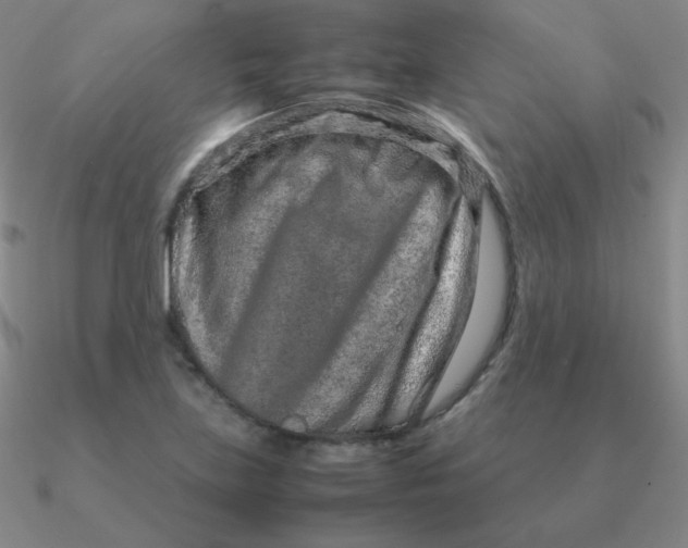 X0000090621219200708071217