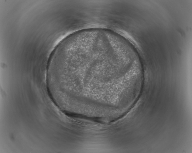 X0000090621220200708071217