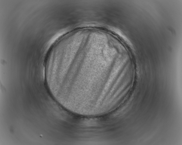 X0000090621221200708071217