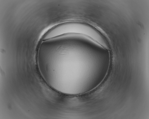 X0000090621222200708071217