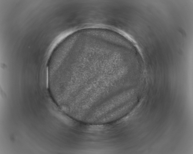 X0000090621223200708071218