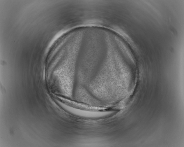 X0000090621224200708071218