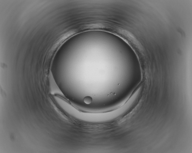 X0000090621225200708071218