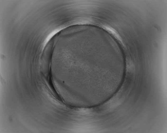 X0000090621226200708071218