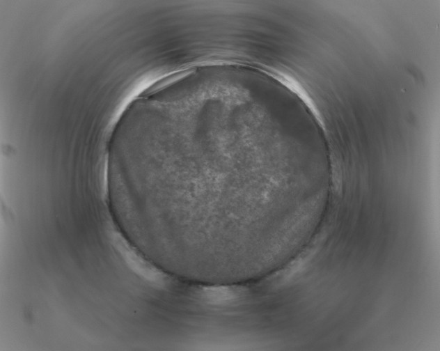 X0000090621227200708071218