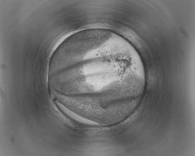 X0000090621228200708071218