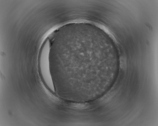 X0000090621229200708071218