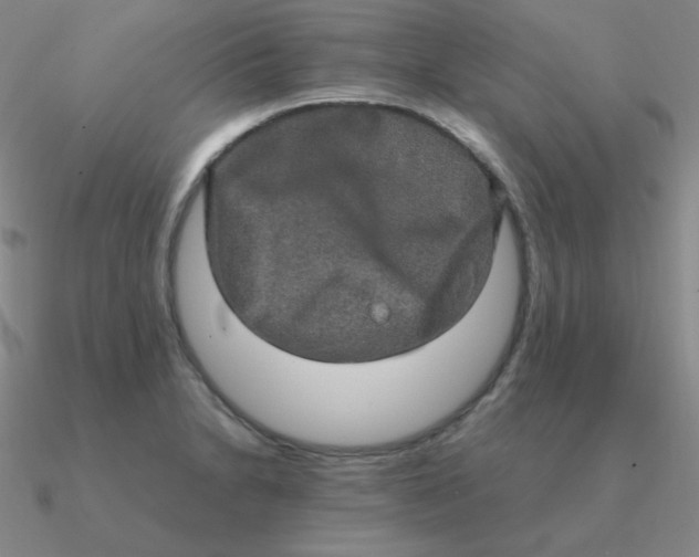 X0000090621230200708071218