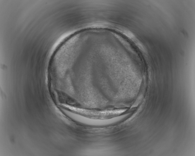 X0000090621232200708071218