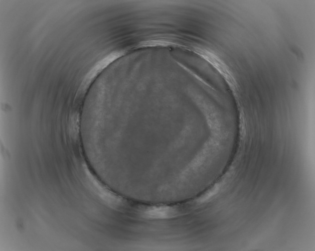 X0000090621233200708071218