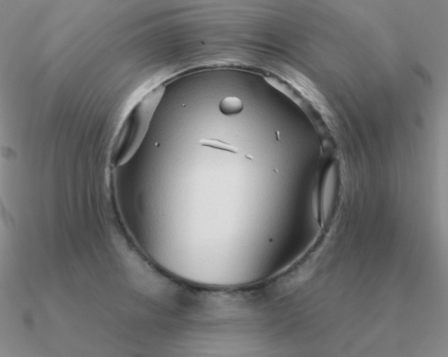 X0000090621234200708071218