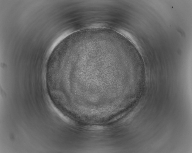 X0000090621235200708071218