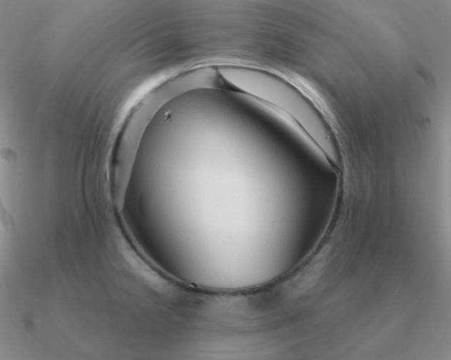 X0000090621238200708071218