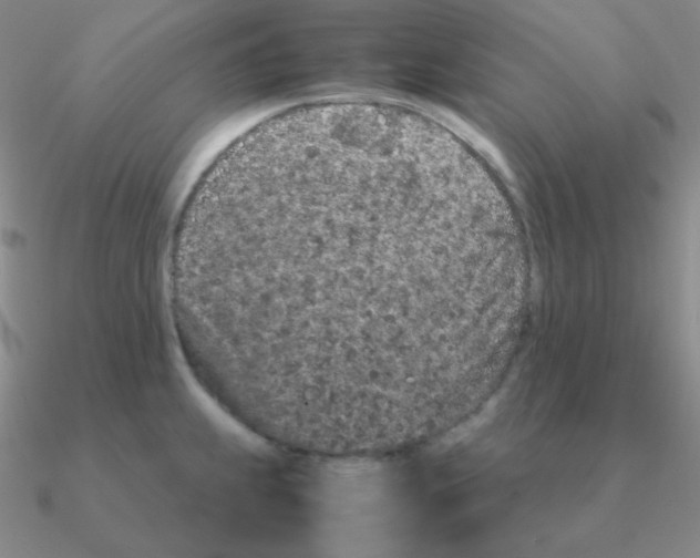 X0000090621239200708071218