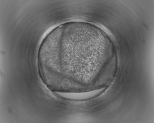 X0000090621240200708071218