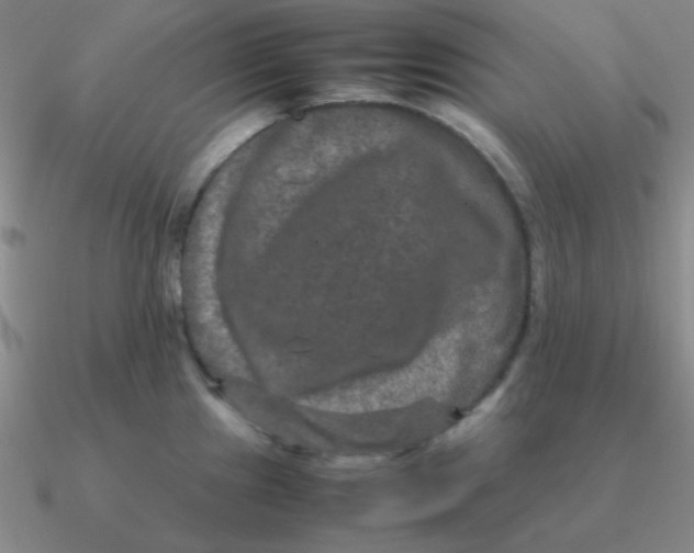 X0000090621241200708071218