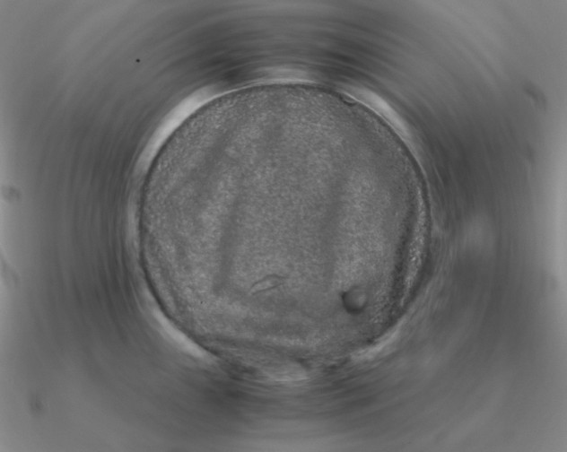 X0000090621243200708071218