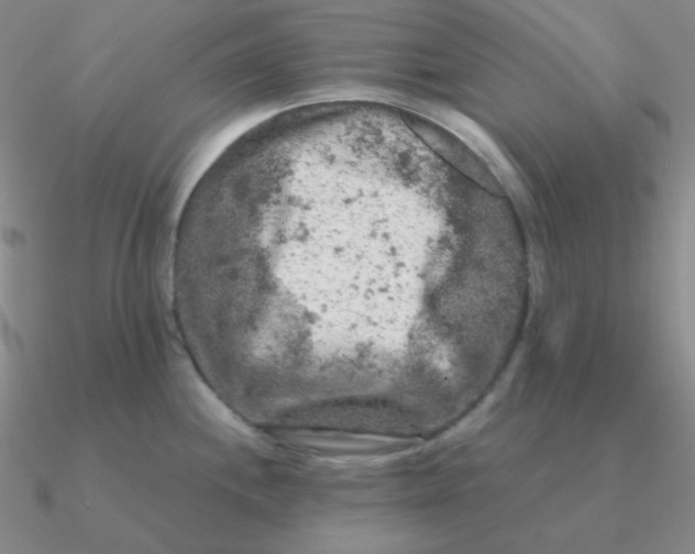 X0000090621244200708071218