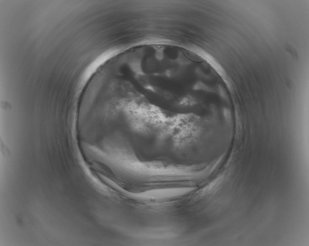 X0000090621245200708071218