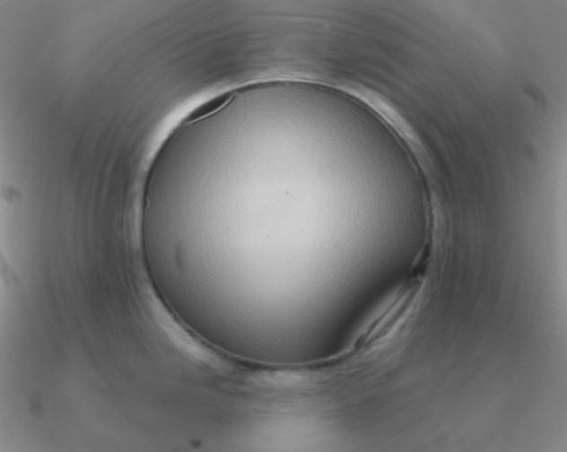 X0000090621246200708071218