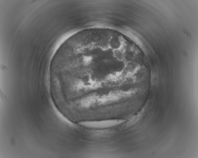 X0000090621247200708071218