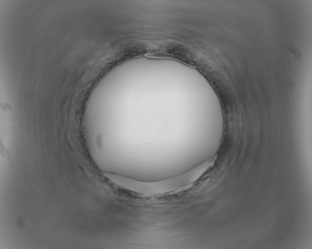 X0000090621249200708071217