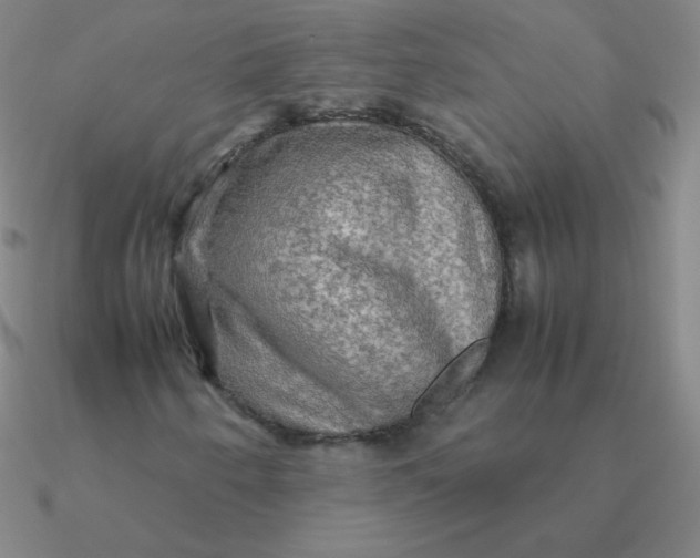 X0000090621250200708071217