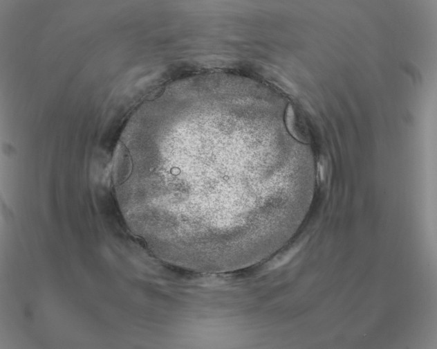 X0000090621251200708071217