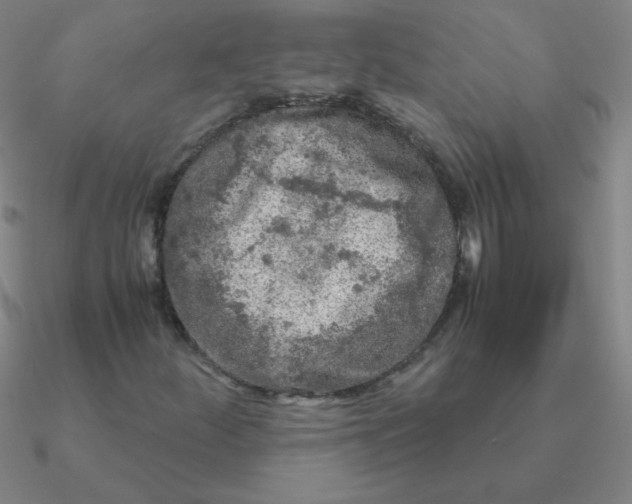 X0000090621252200708071217