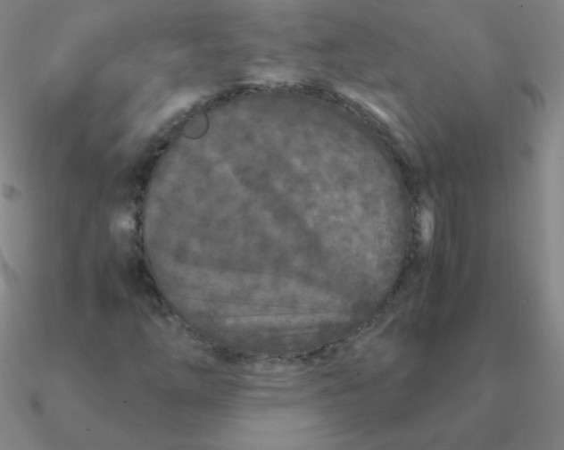 X0000090621254200708071217