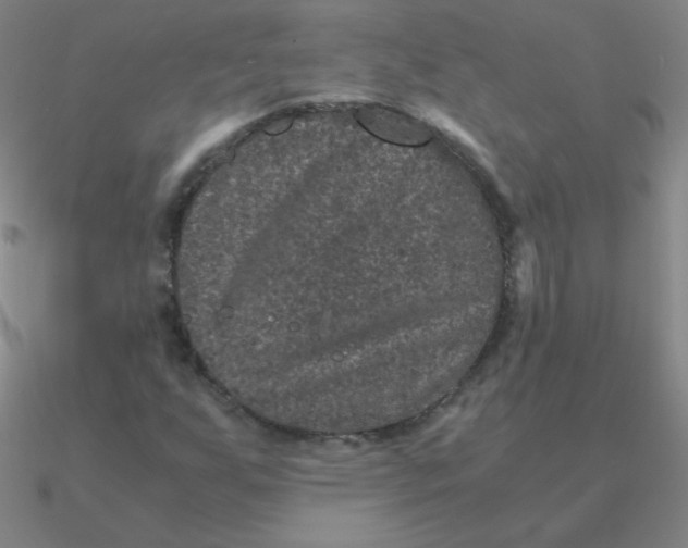 X0000090621255200708071217