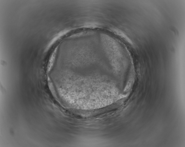 X0000090621256200708071217