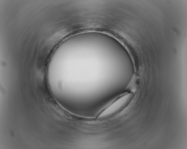 X0000090621257200708071217