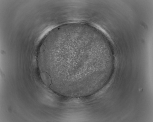 X0000090621259200708071217