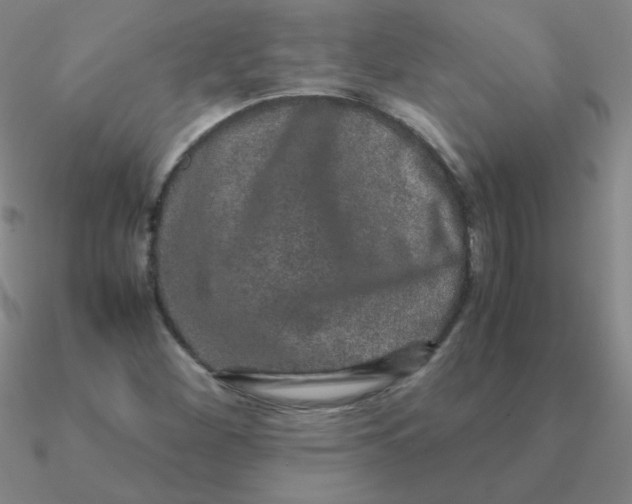 X0000090621260200708071217