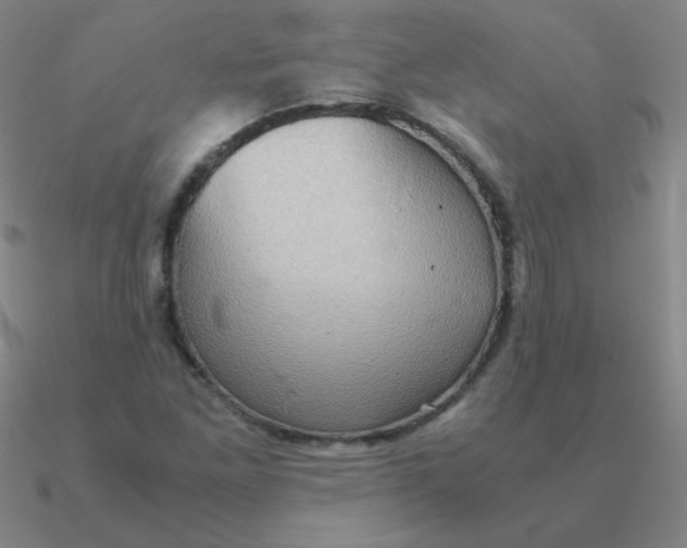 X0000090621261200708071217