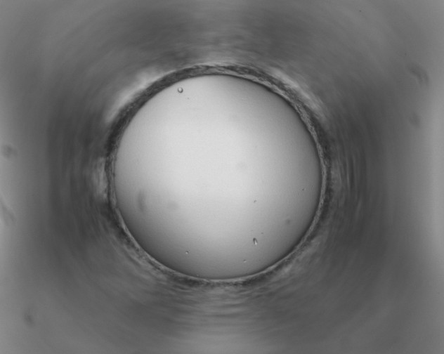 X0000090621262200708071217