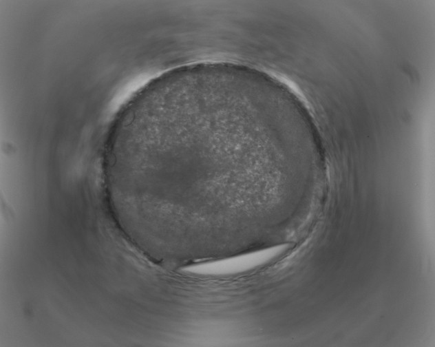 X0000090621263200708071217